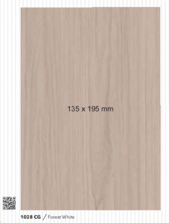ARTIZE 1208 CG - FOREST WHITE
