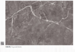 ARTIZE 1304 ST - SEGRANDA MARBLE