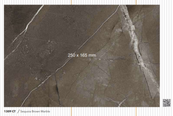 ARTIZE 1309 CT - SEQUOIA BROWN MARBLE