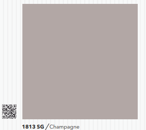 ARTIZE 1813 SG - CHAMPAGNE